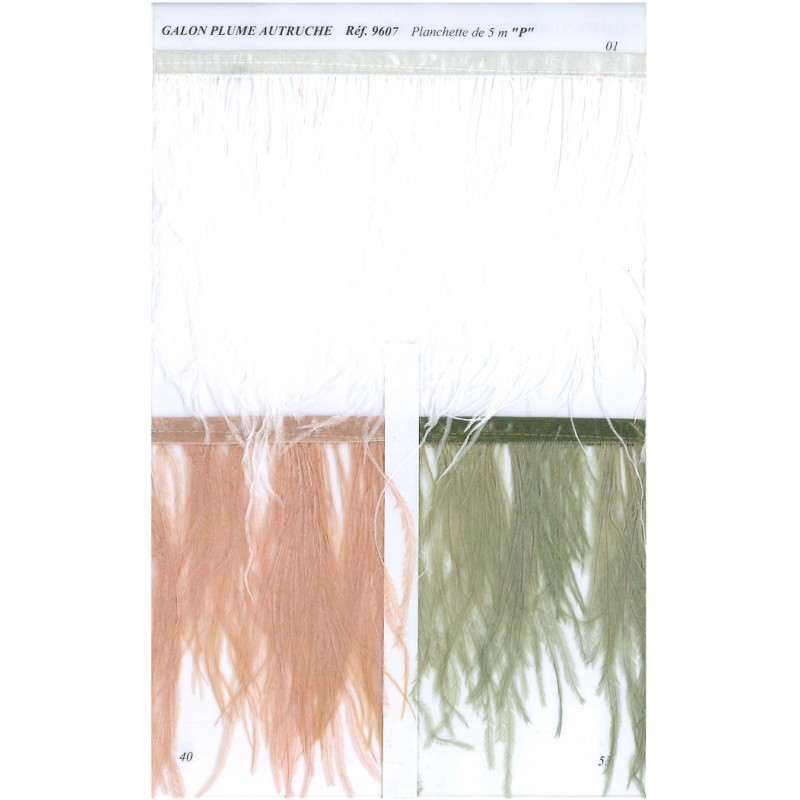 Stephanoise S9607 - GALON PLUMES AUTRUCHE