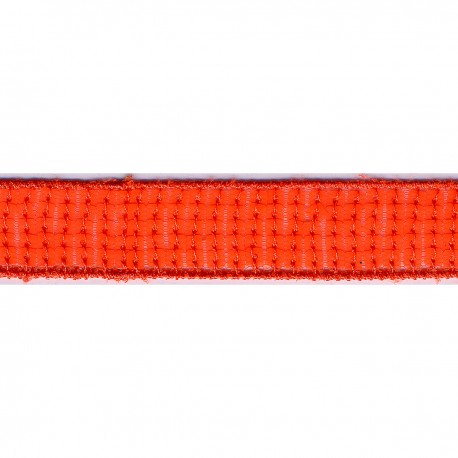 stephanoise S9943 - GALON PAILLETTES 22 MM