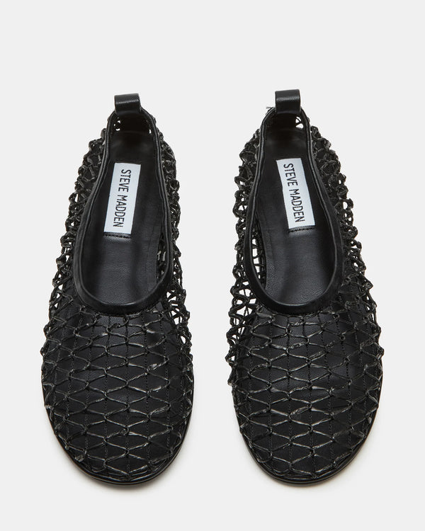 Steven New York Ambrosia Noire