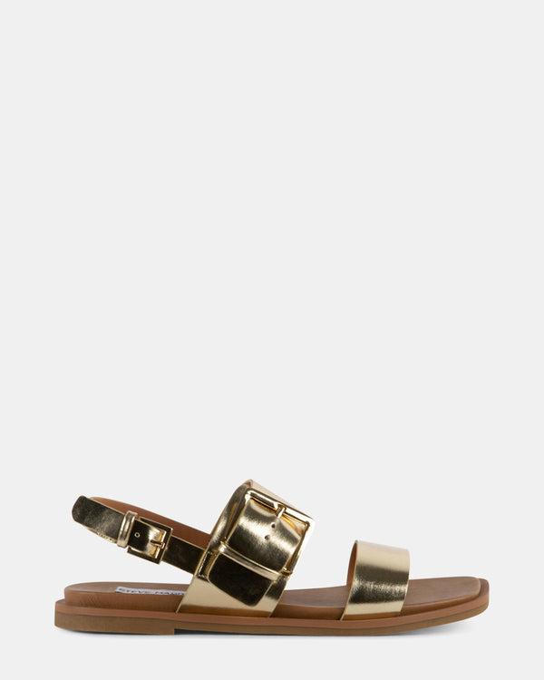 steven new york Blitz Or