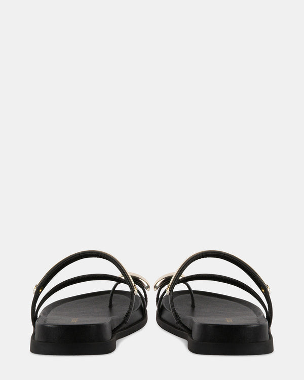 Steven New York Caribbean Noir