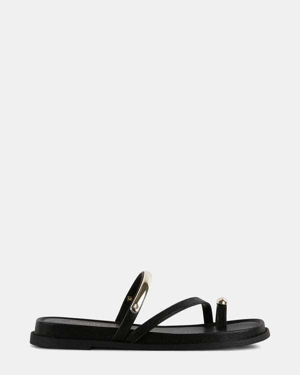 steven new york Caribbean Noir