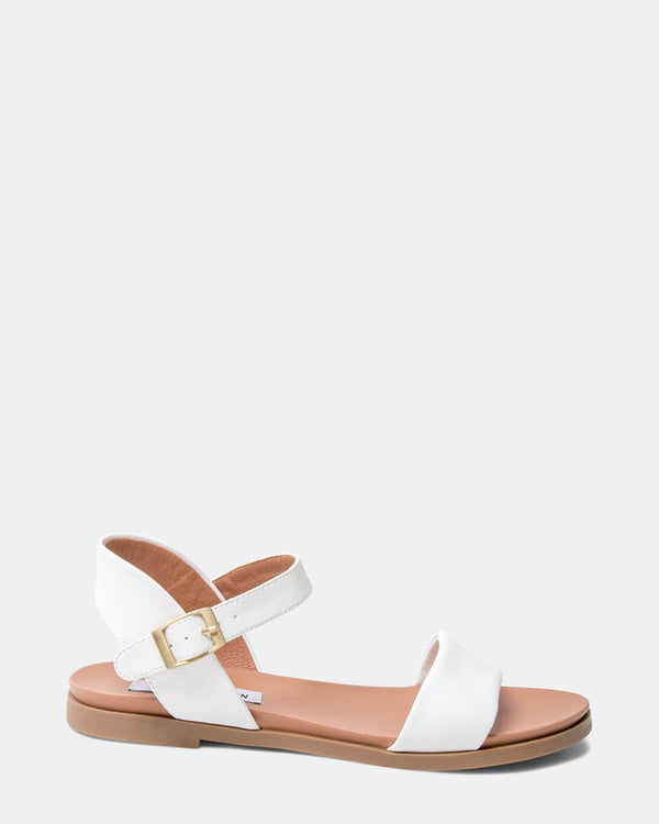 steven new york Daelyn Blanc