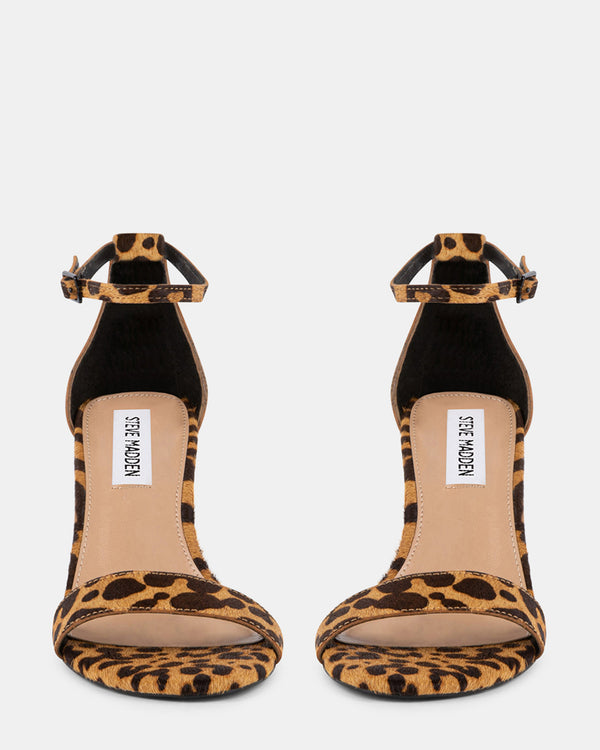 Steven New York Dylann-l Léopard