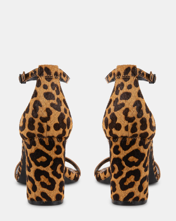 Steven New York Dylann-l Léopard