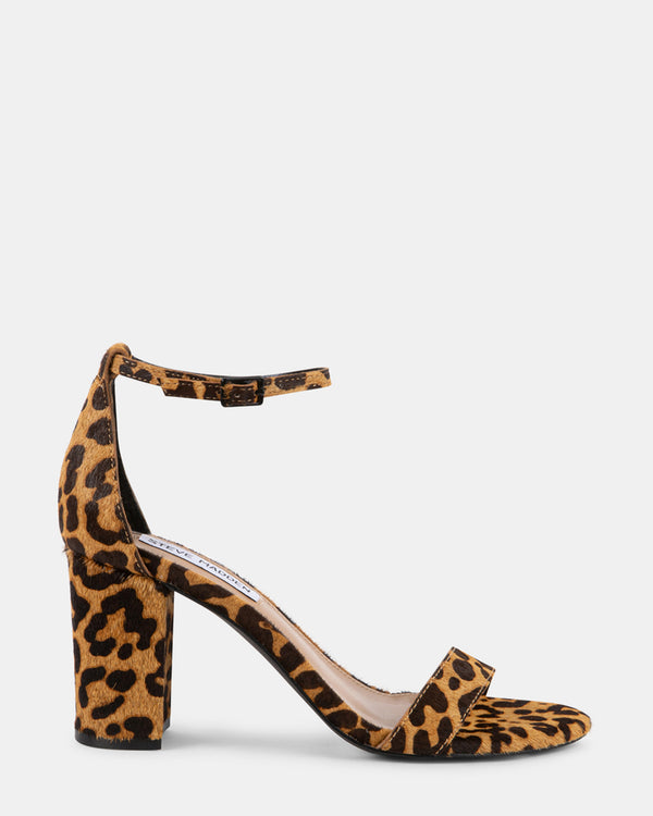 steven new york Dylann-l Léopard