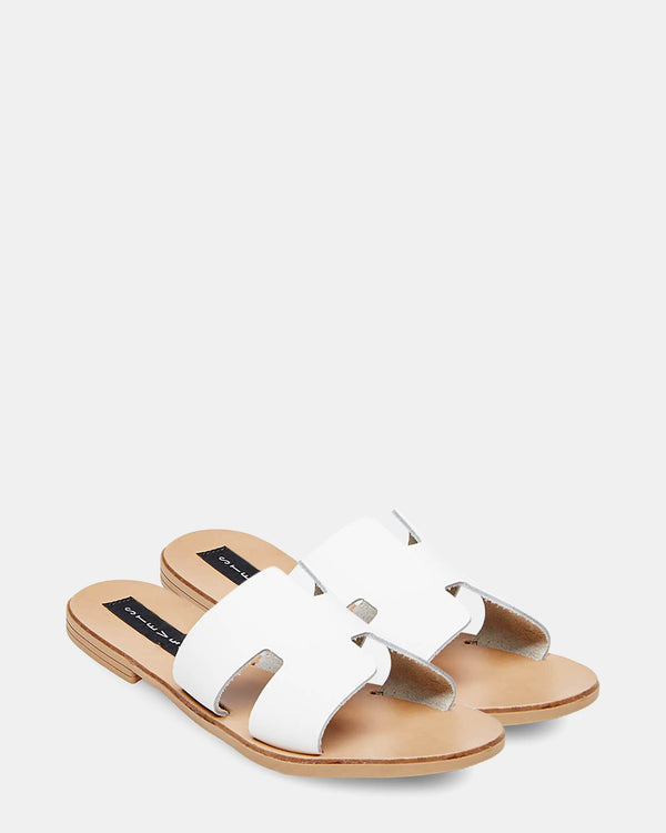 Steven New York Grady Blanc