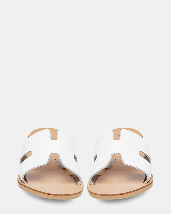 Steven New York Grady Blanc