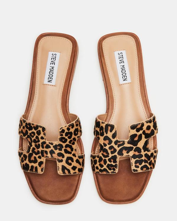 Steven New York Hadyn-l Léopard