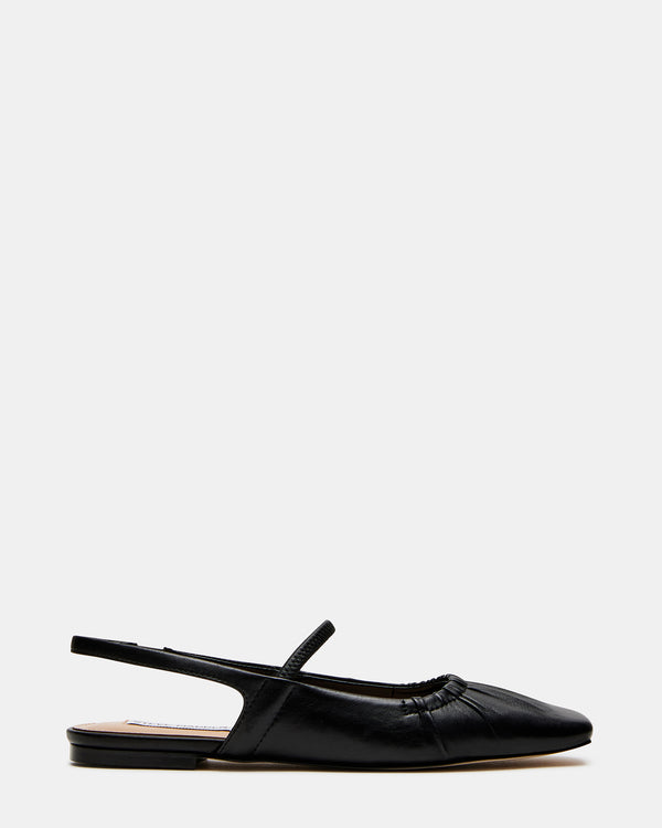 steven new york Hastings Noir