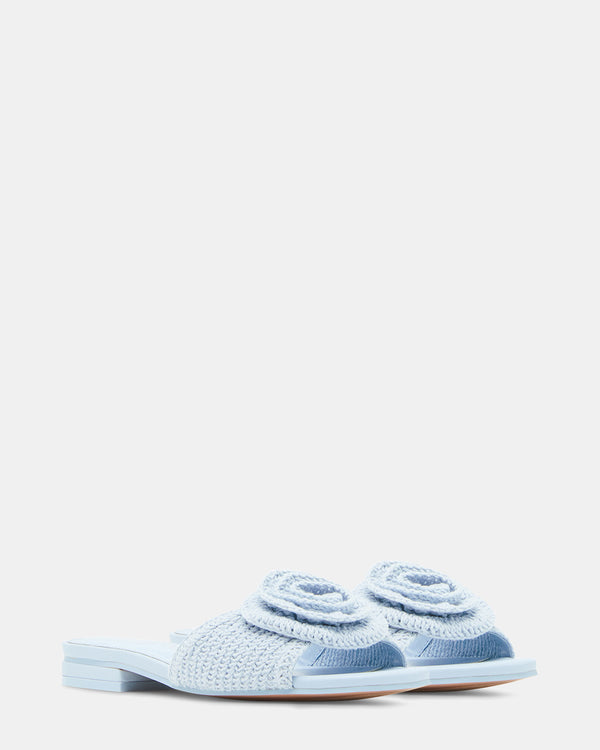 Steven New York Hydrangea Bleu