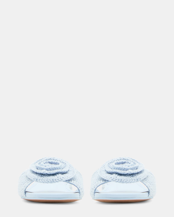 Steven New York Hydrangea Bleu