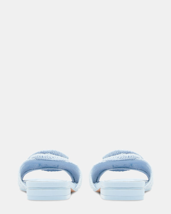 Steven New York Hydrangea Bleu