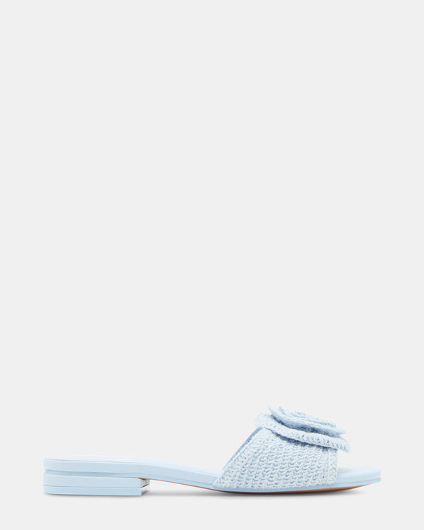 steven new york Hydrangea Bleu