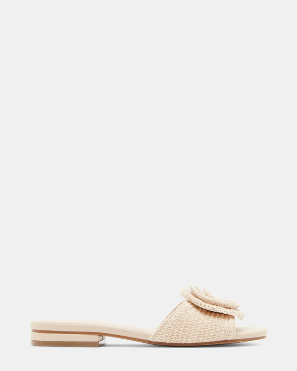 steven new york Hydrangea Naturel