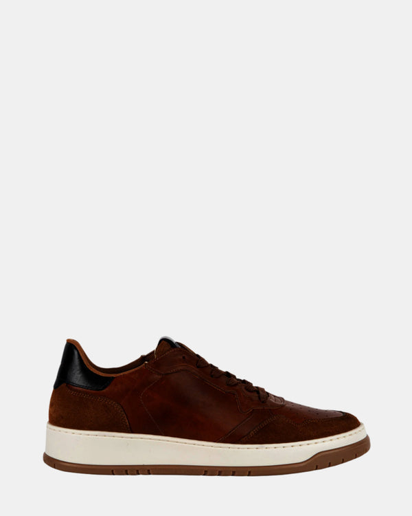 steven new york Jett Cuir Cognac