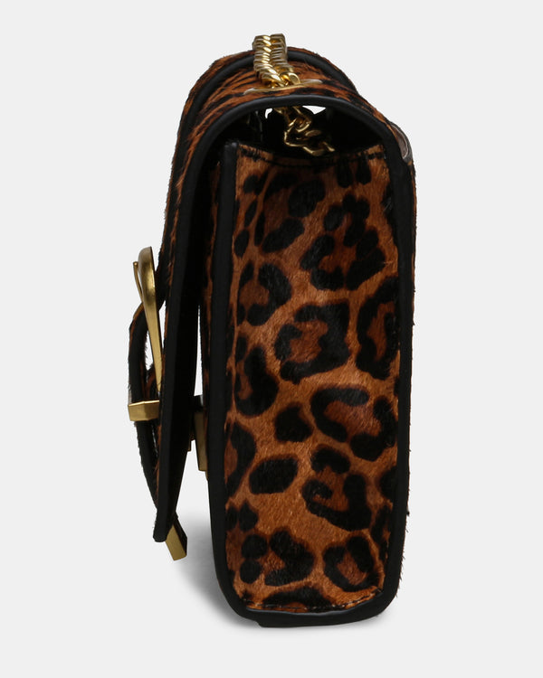 Steven New York Léopard Bzeta