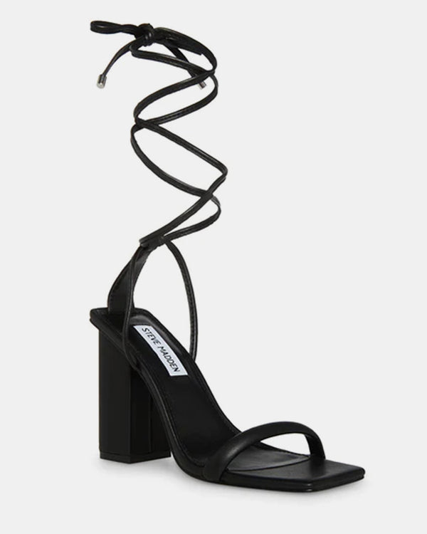 Steven New York Natasha Noire