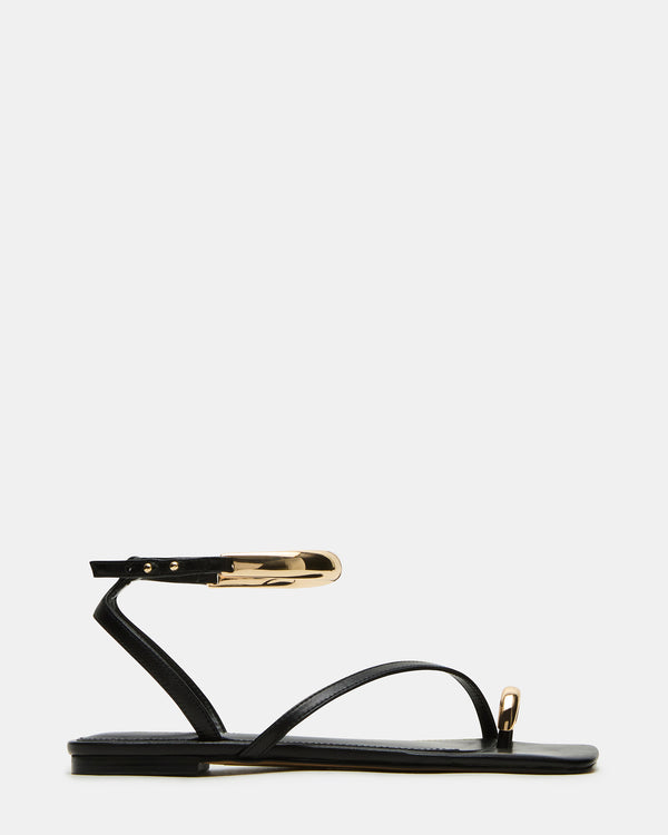 steven new york Odyssey Noir