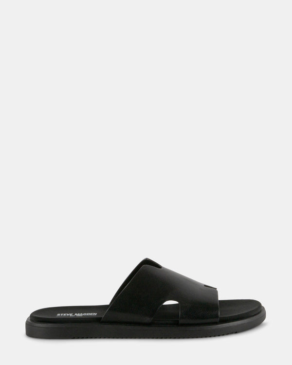 steven new york Stanley Noir