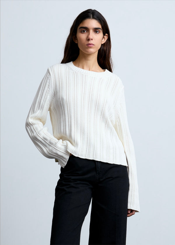 surprise paris Pull Andrea