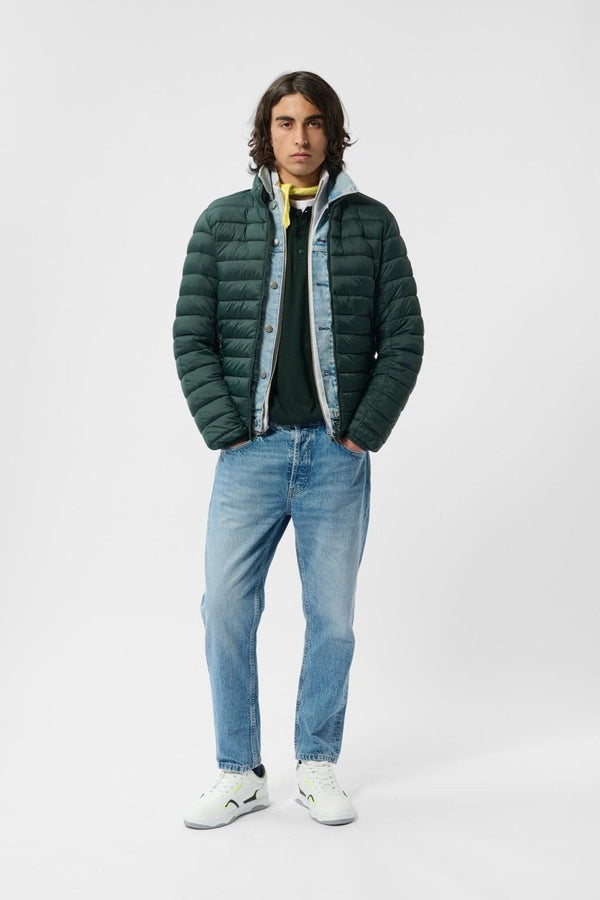 teddy smith Blouson léger col montant BLIGHT VERT SCARABE