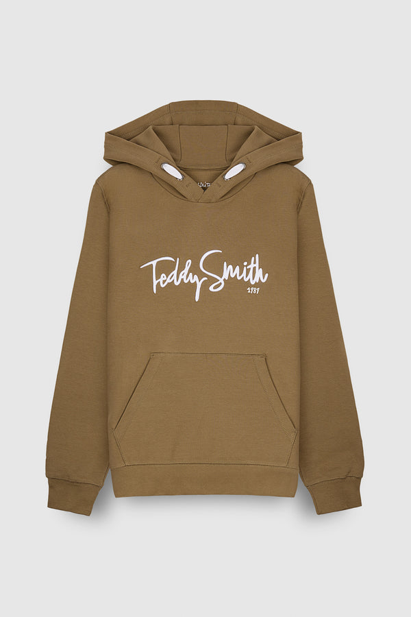 teddy smith Sweat à capuche S-EVRY HOODY JR CHATAIN