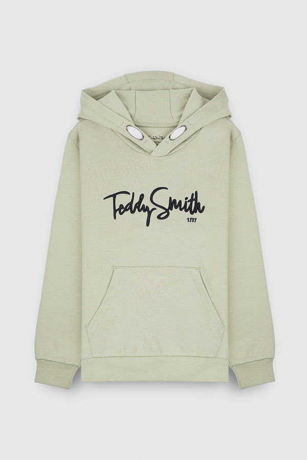 teddy smith Sweat à capuche S-EVRY HOODY JR VERT SAUGE
