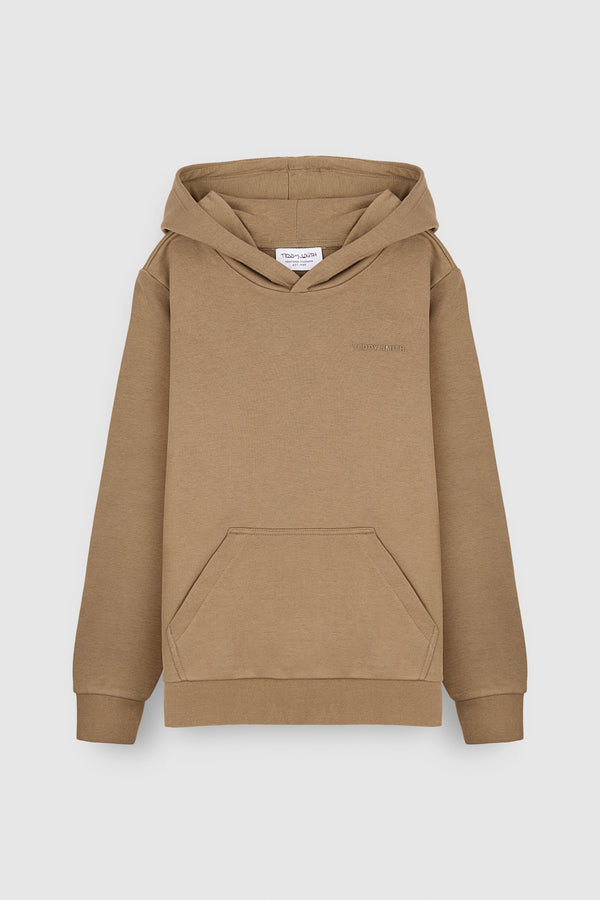 teddy smith Sweat à capuche S-NARK HOODY JR CHATAIN