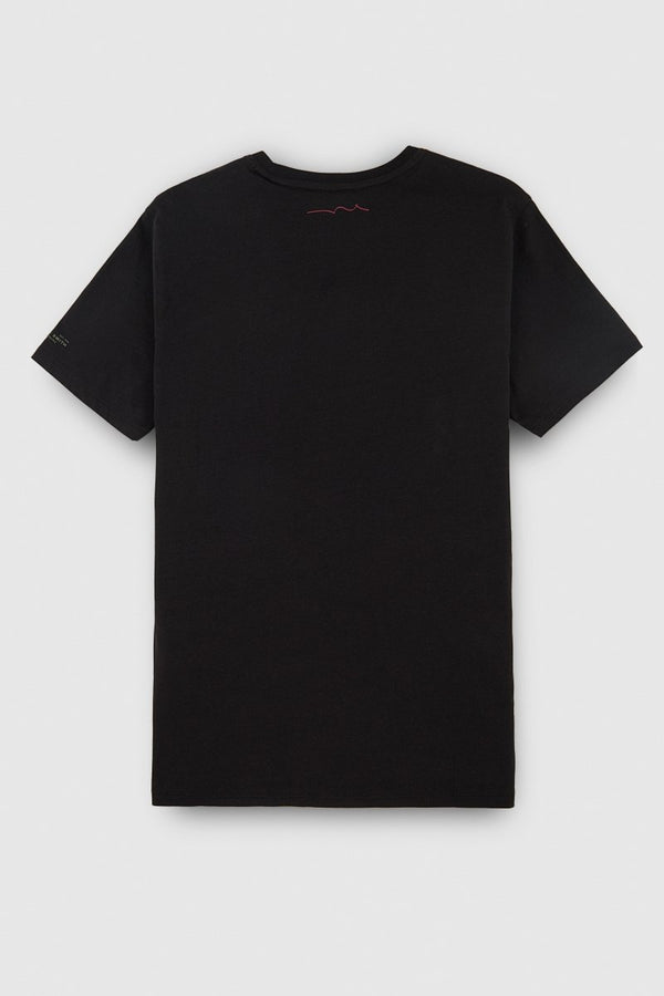 Teddy Smith T-shirt Col Rond T-EZIO 2 MC CHARBON/FLEUR