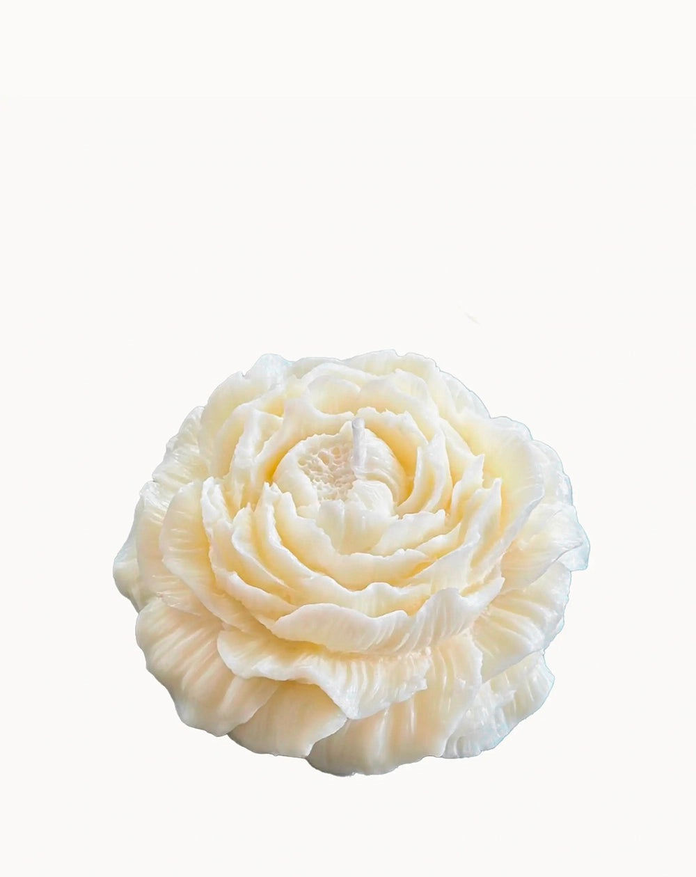 Teo Cabanel BOUGIE DÉCORATIVE - LA PIVOINE Fleurie & Printanière