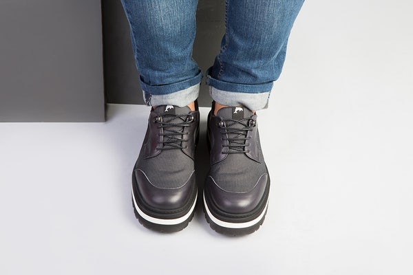 The Art Company 1084 NEO DAVID DELFIN