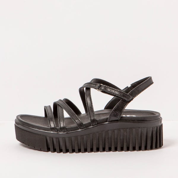 the art company 1576F BRIGHTON