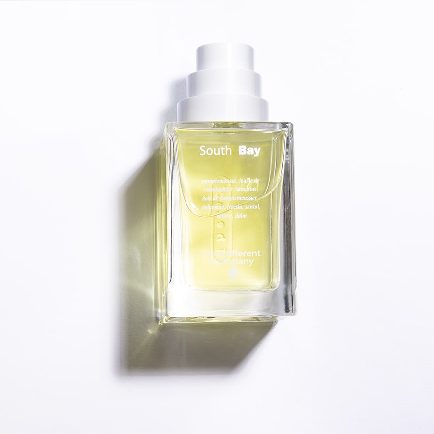 the different company South Bay