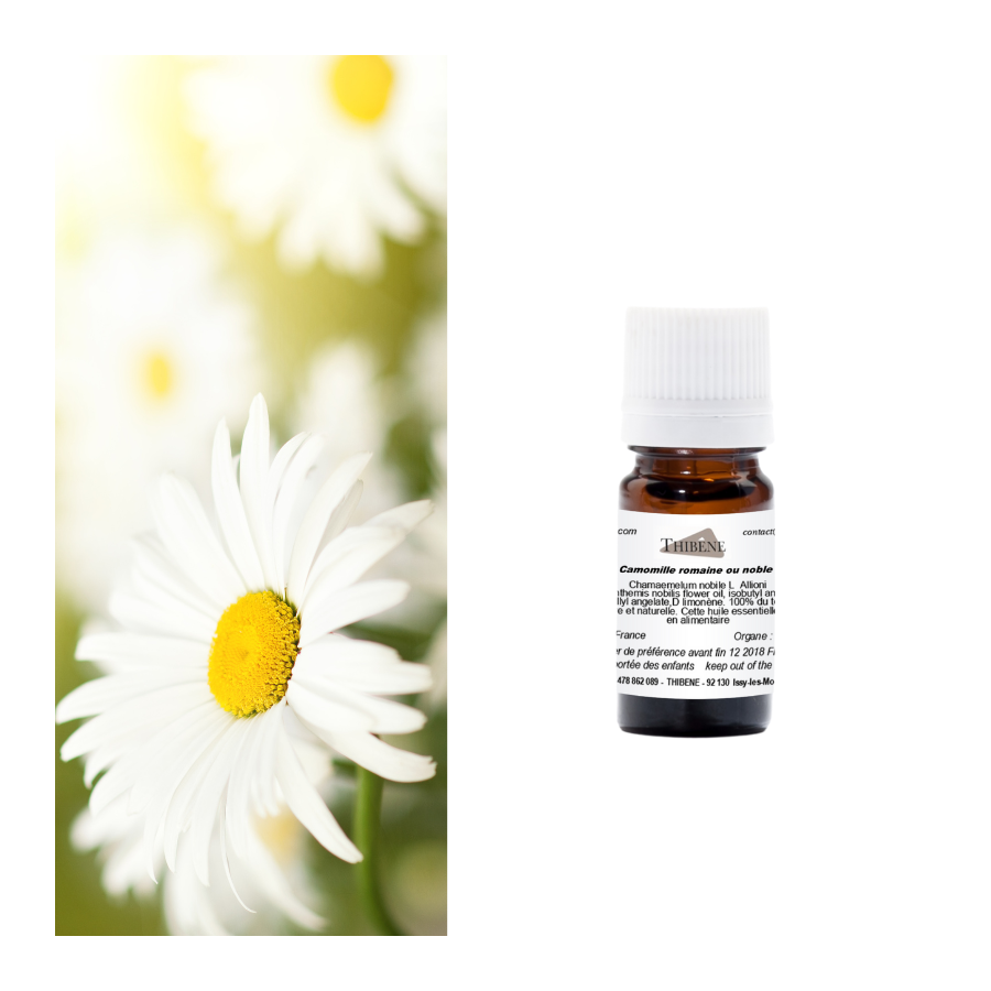 thibêne Huiles essentielles Camomille noble ou romaine