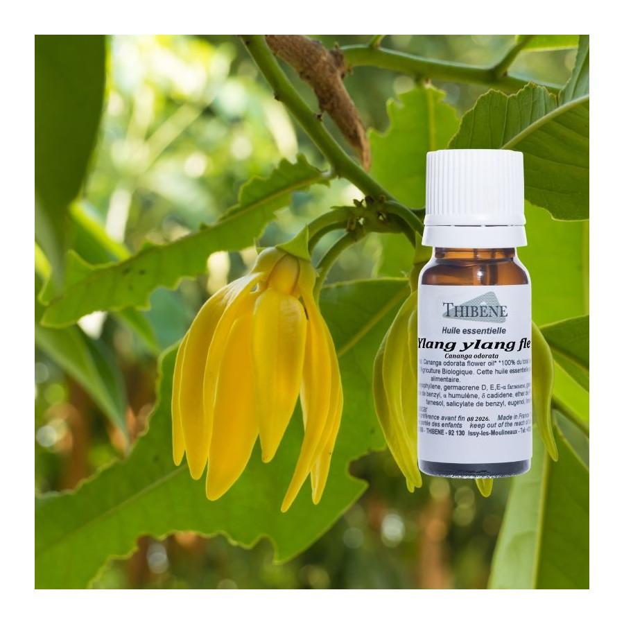 Thibêne Huiles Essentielles Ylang Ylang Fleur Complète
