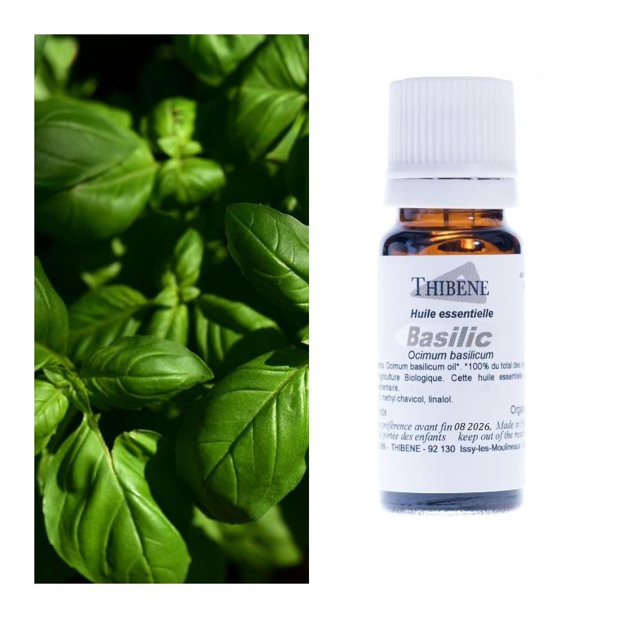 thibêne Huiles essentielles Basilic