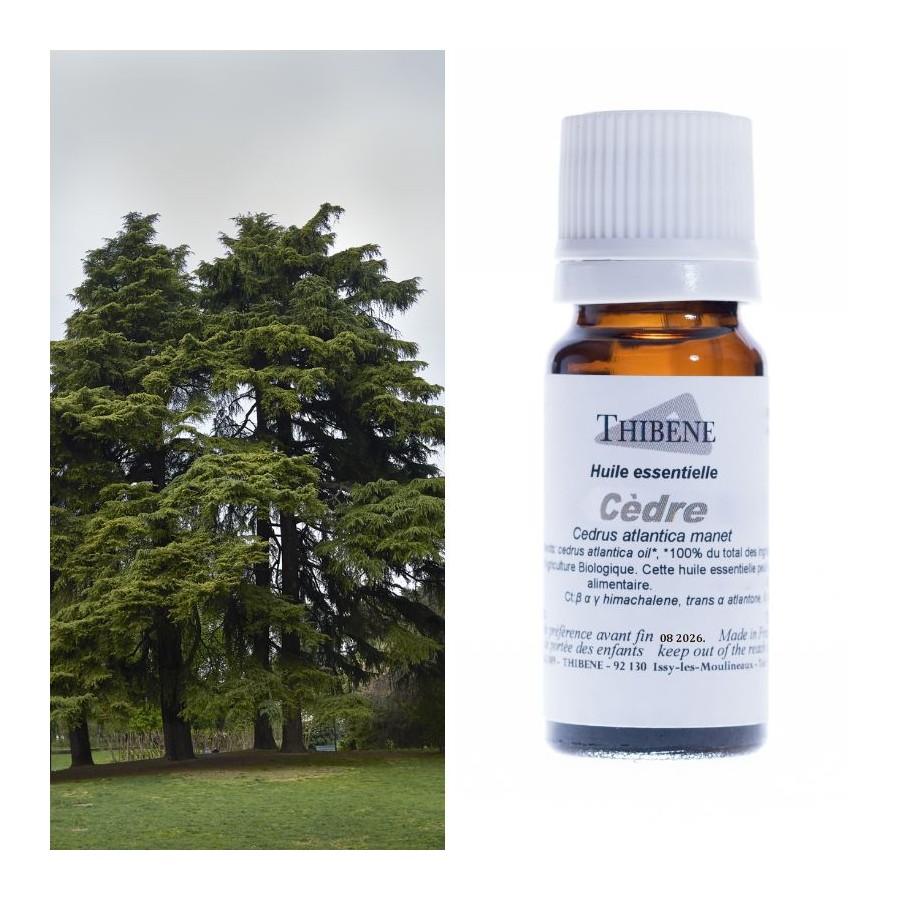 thibêne Huiles essentielles Cèdre