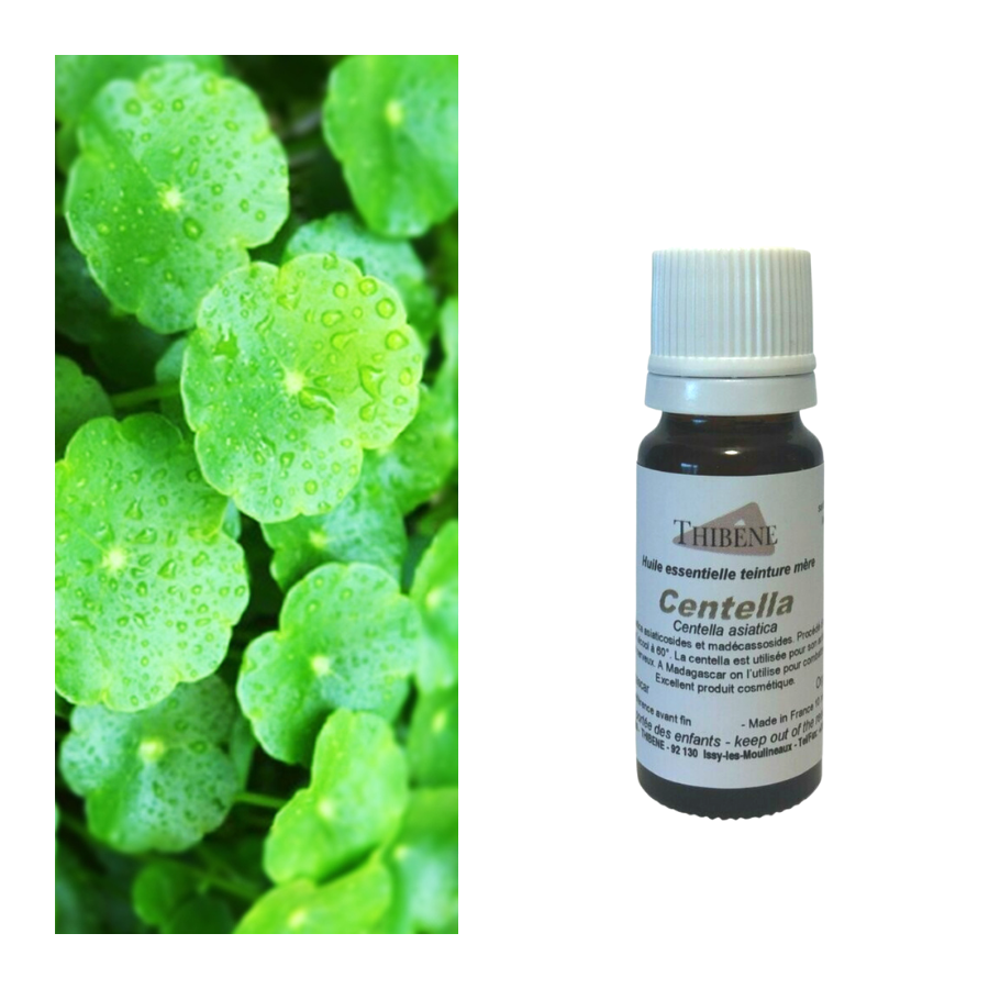 thibêne Huiles essentielles Centella asiatica