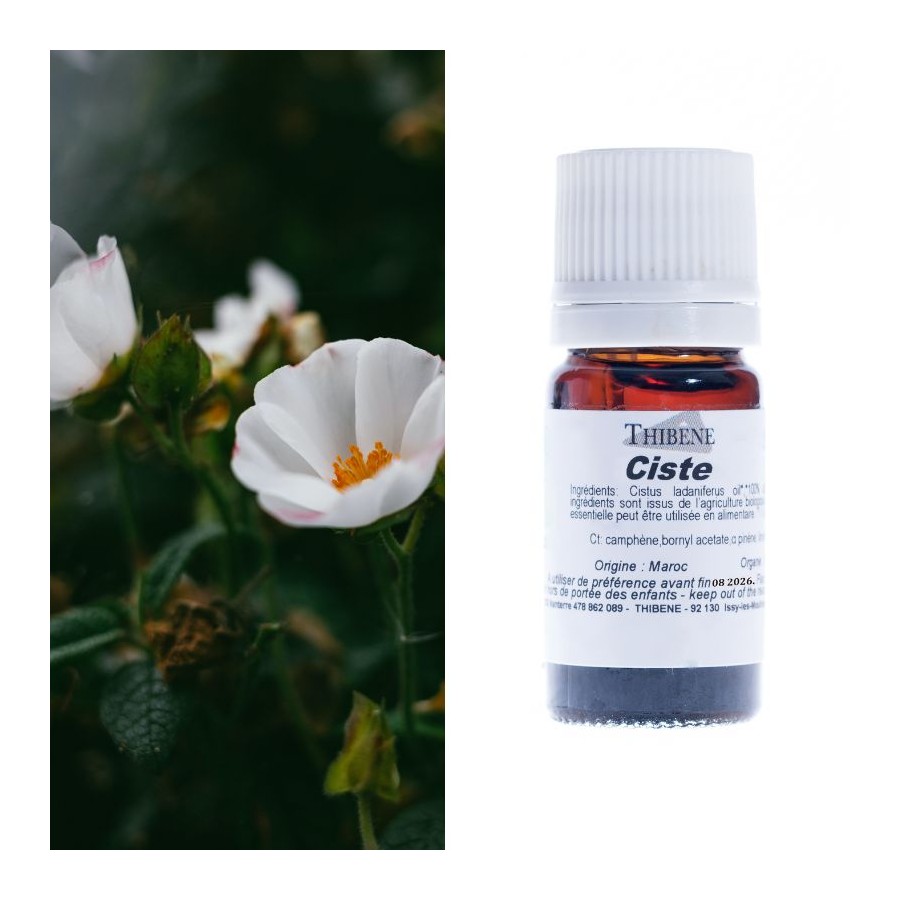 thibêne Huiles essentielles Ciste
