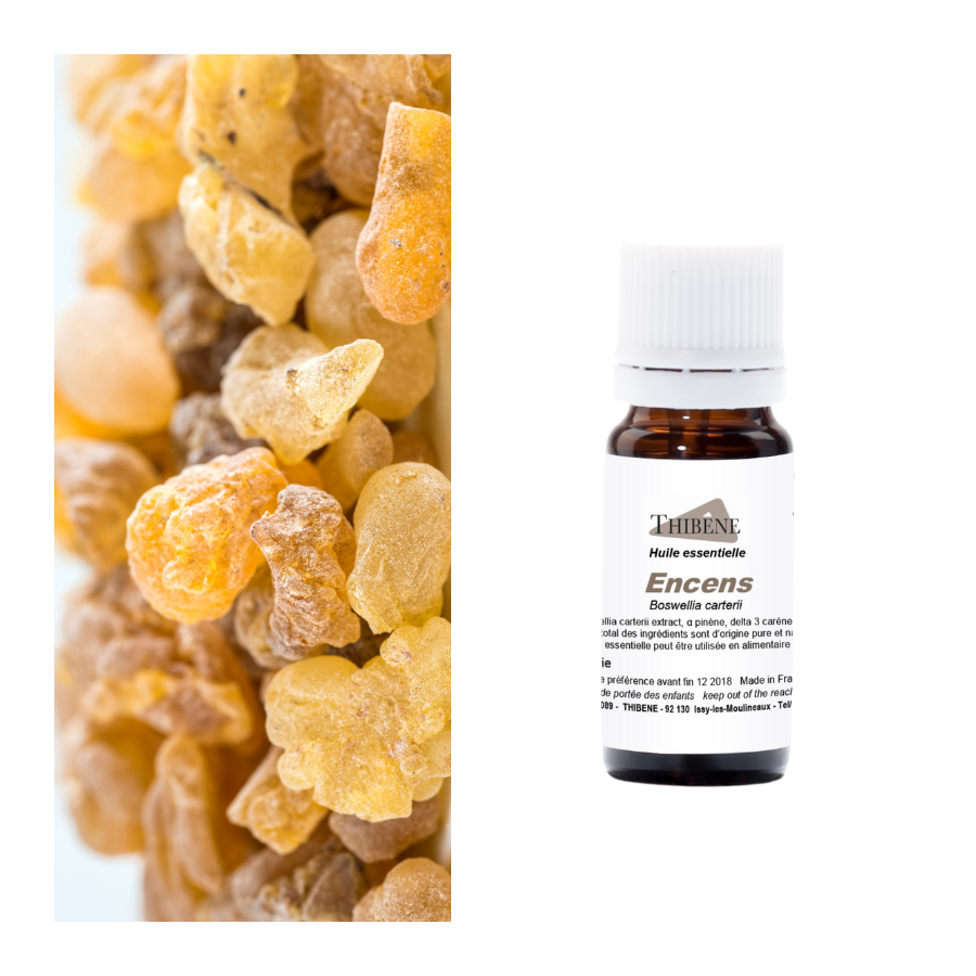 thibêne Huiles essentielles Encens oliban