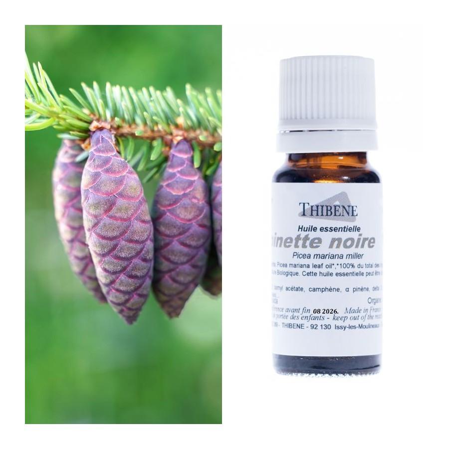 thibêne Huiles essentielles Epinette noire