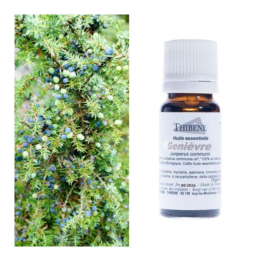thibêne Huiles essentielles Genièvre