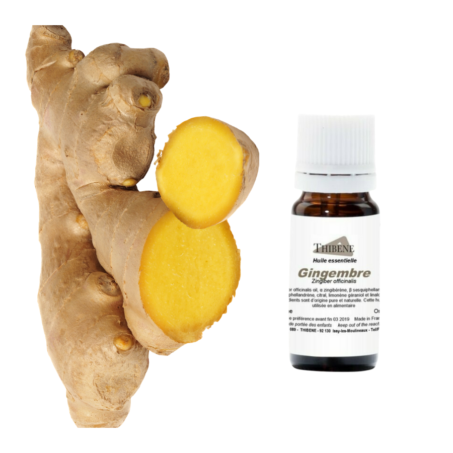 thibêne Huiles essentielles Gingembre
