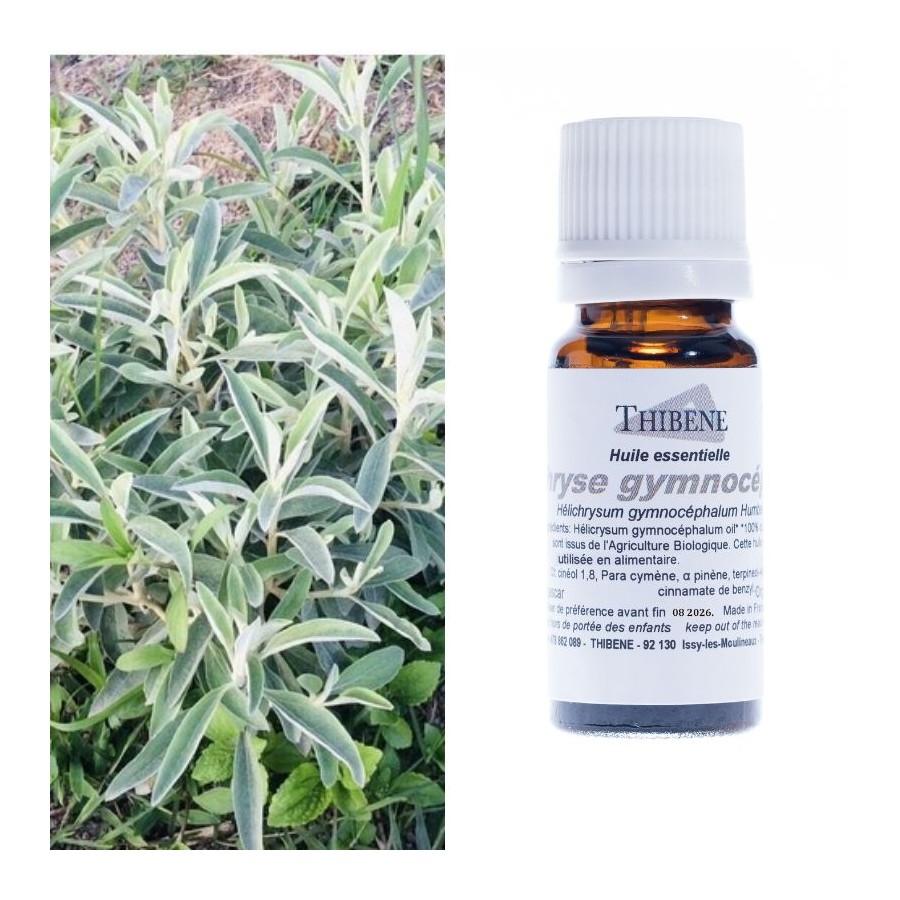 thibêne Huiles essentielles Hélichryse gymnocéphal