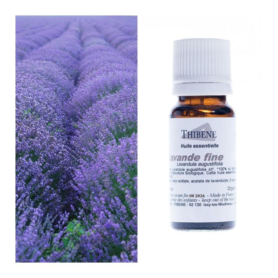 thibêne Huiles essentielles Lavande fine