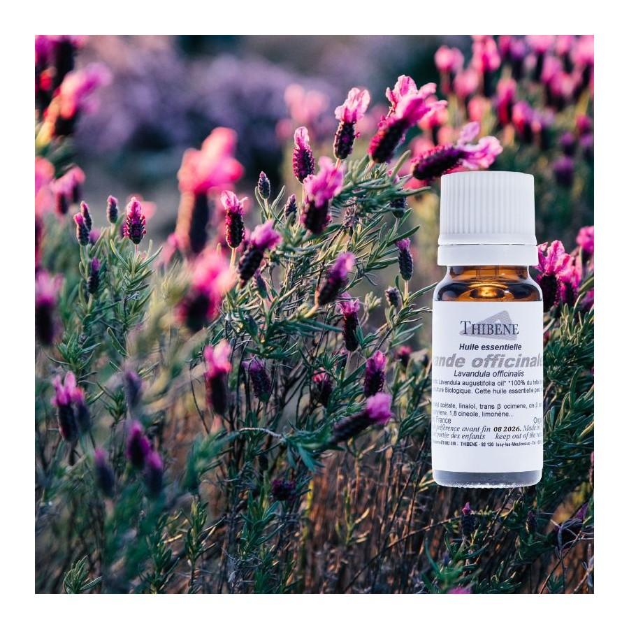 Thibêne Huiles Essentielles Lavande Officinale
