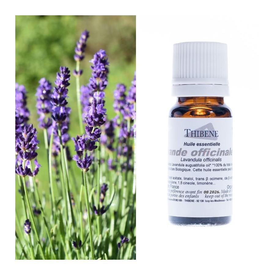 thibêne Huiles essentielles Lavande officinale
