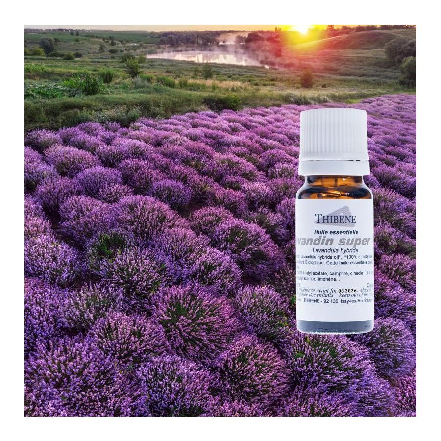 Thibêne Huiles Essentielles Lavandin Super