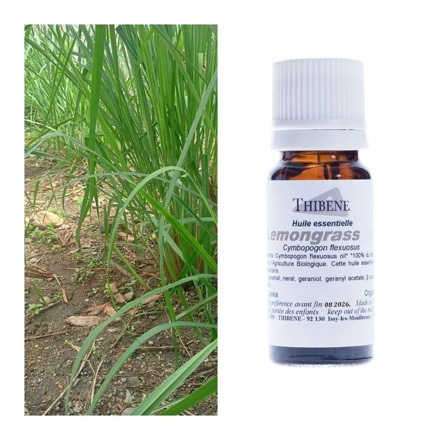thibêne Huiles essentielles Lemongrass